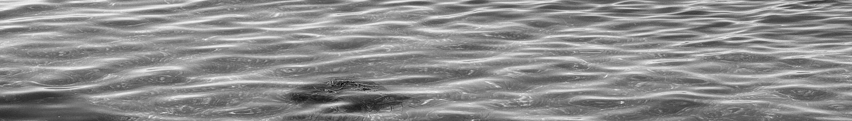Wellen im Meer